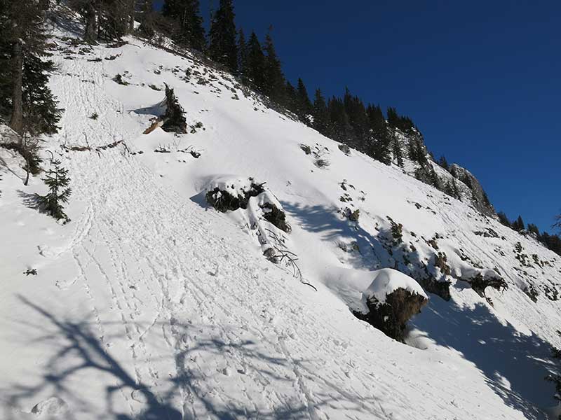 Buchbergkogel